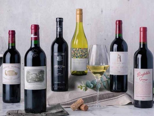 Shop Vinvino - Điểm đến tin cậy cho những tín đồ rượu vang