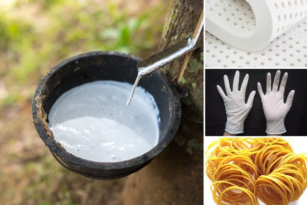 3 chất liệu thường dùng để sản xuất găng tay cao su