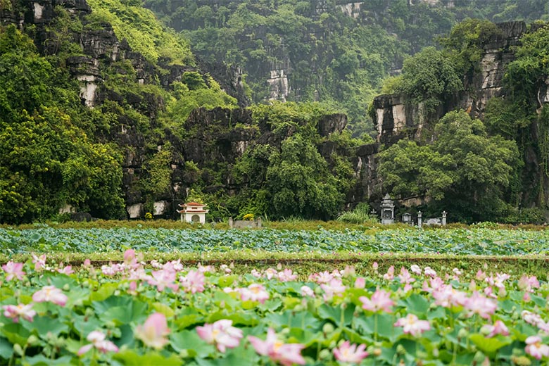 Top 5 tọa độ du lịch gần Hà Nội cho chuyến đi ngắn ngày